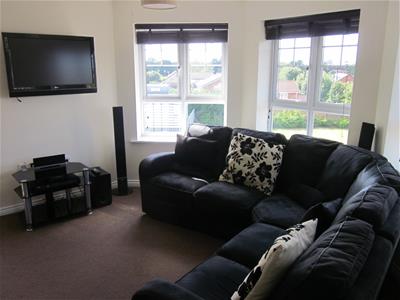 Picture 7